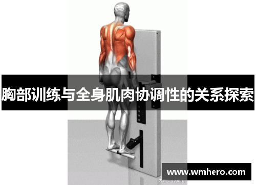 胸部训练与全身肌肉协调性的关系探索